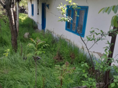 SATUL NOU-CASA BATRANEASCA, 3 CAMERE, TEREN 3300 MP.