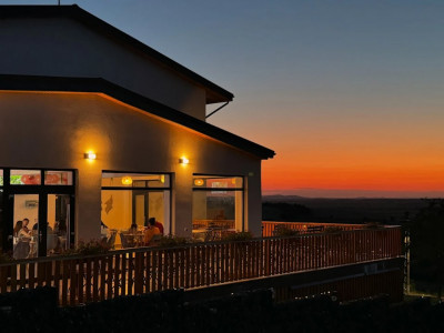 COMPLEX TURISTIC - oras Isaccea, judetul Tulcea, trecere bac UCRAINA 