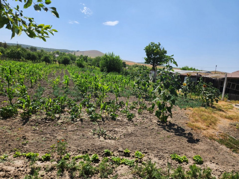 SAT TURDA- CASA 4 CAMERE, TEREN 2149 MP