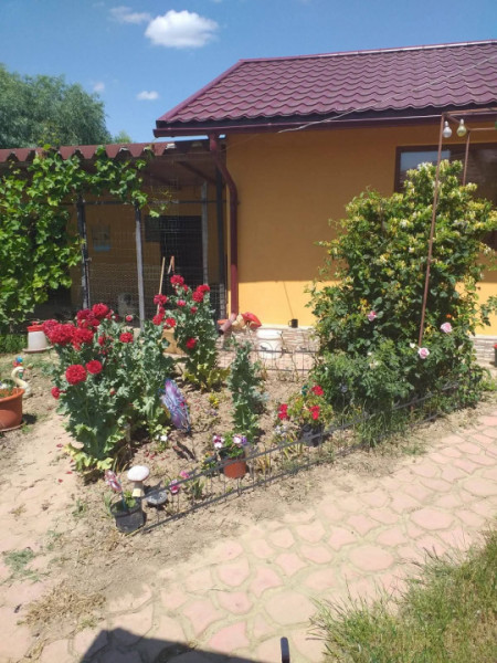 HORIA - 3 CAMERE ,SUPRAFATA 100 MP,TEREN 3000 MP CU DESCHIDERE LA LAC