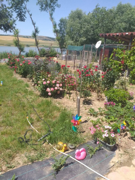 HORIA - 3 CAMERE ,SUPRAFATA 100 MP,TEREN 3000 MP CU DESCHIDERE LA LAC