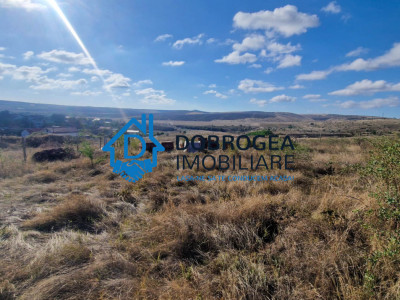 ZONA PECO- TEREN 1496 MP, IDEAL CONSTRUCTII LOCUINTE