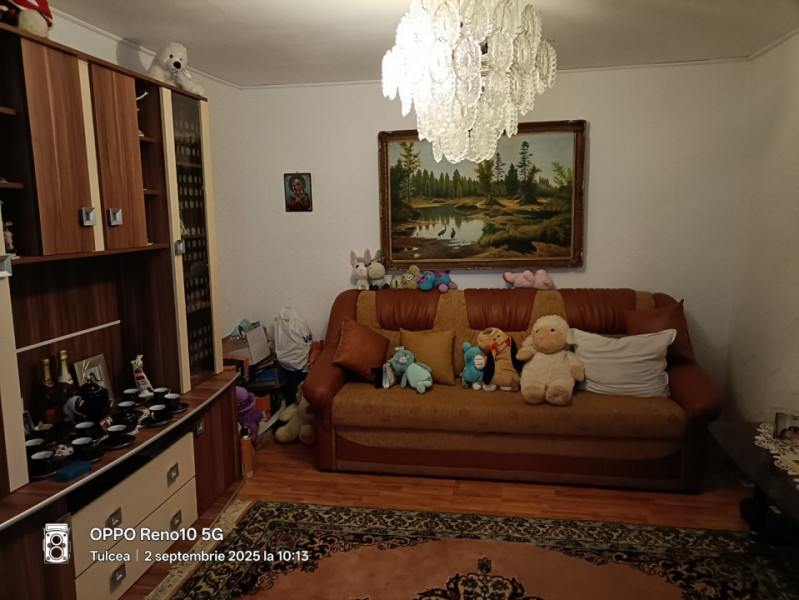 Z0NA ALEXANDRU CEL BUN-CASA 4 CAMERE ,TEREN 957 MP