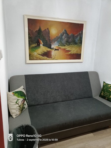 Z0NA ALEXANDRU CEL BUN-CASA 4 CAMERE ,TEREN 957 MP