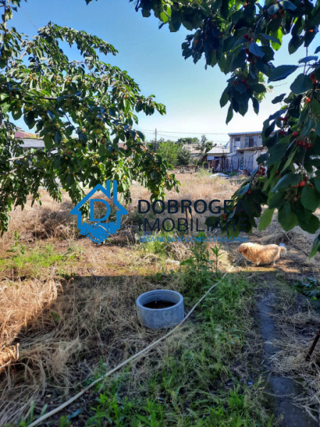 TEREN INTRAVILAN-ZONA PACII ,TEREN 1000 MP ,DESCHIDERE 15 ML