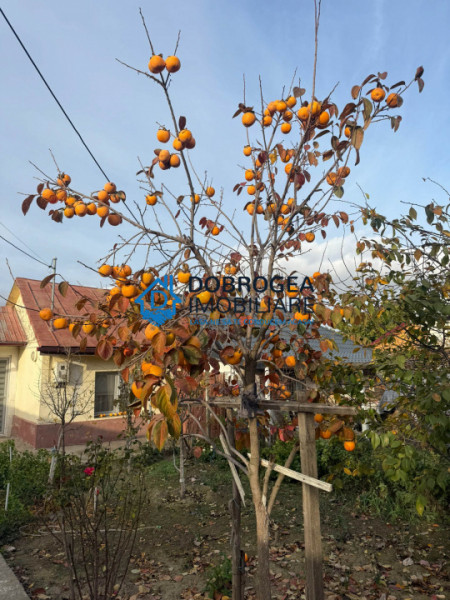 Caslita, casa BCA, iesire la Lac, teren 800 mp