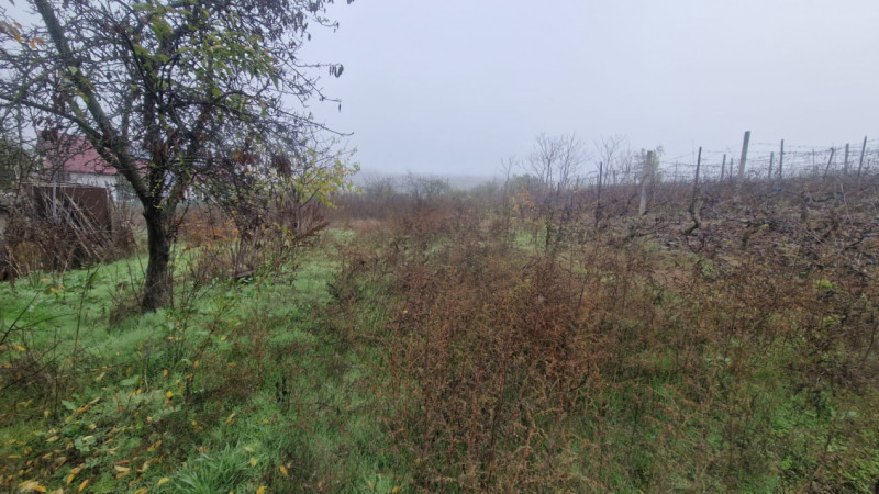 MINERI - CASA 4 CAMERE SUPRAFATA 97 MP, TEREN 3300 MP