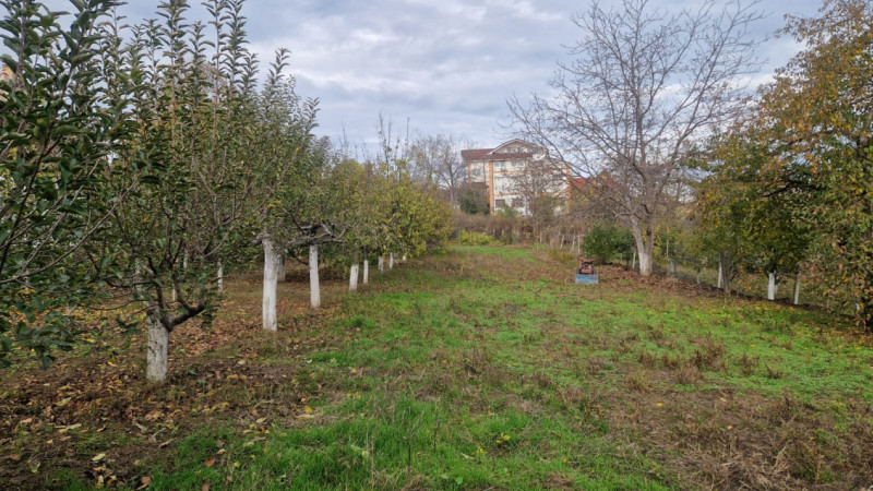 TEREN INTRAVILAN  STRADA MIRCEA VODA-2000MP, DESCHIDERE STRADALA 21 MP