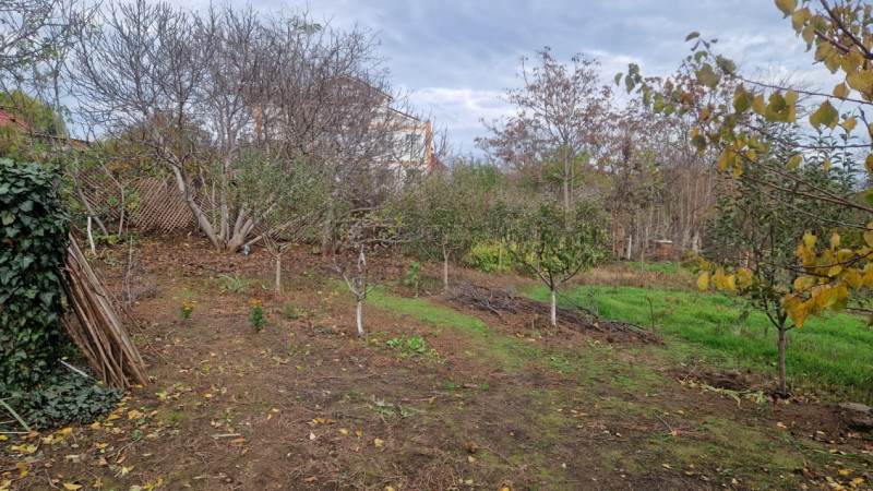 TEREN INTRAVILAN  STRADA MIRCEA VODA-2000MP, DESCHIDERE STRADALA 21 MP