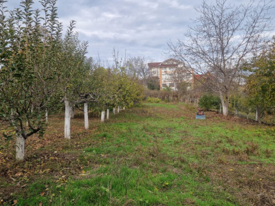 TEREN INTRAVILAN  STRADA MIRCEA VODA-2000MP, DESCHIDERE STRADALA 21 MP