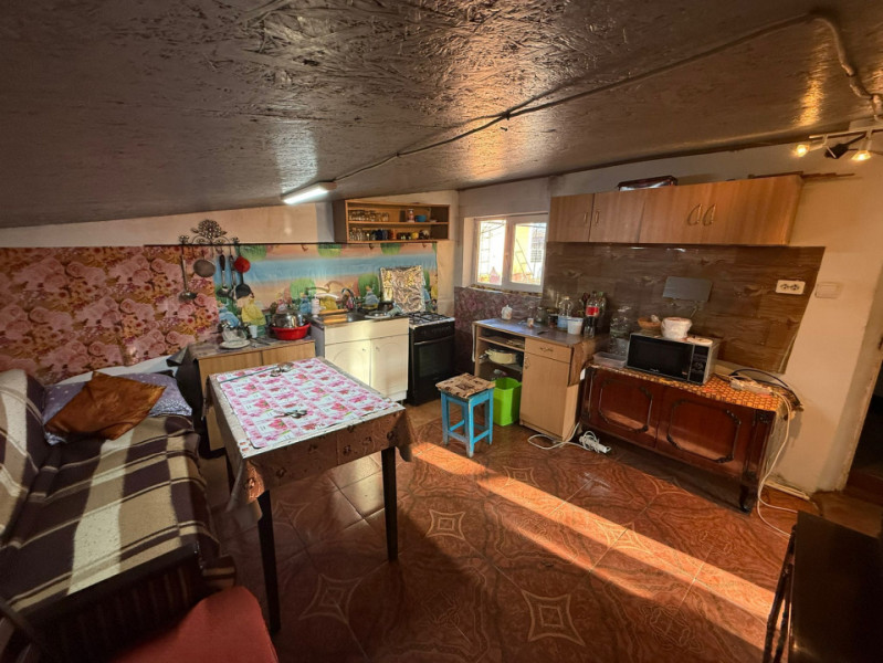 Somova, casa 2 corpuri, teren 4382 mp, garaj