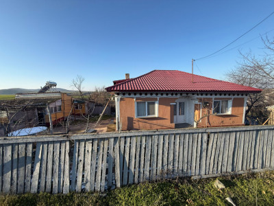 Somova, casa 2 corpuri, teren 4382 mp, garaj