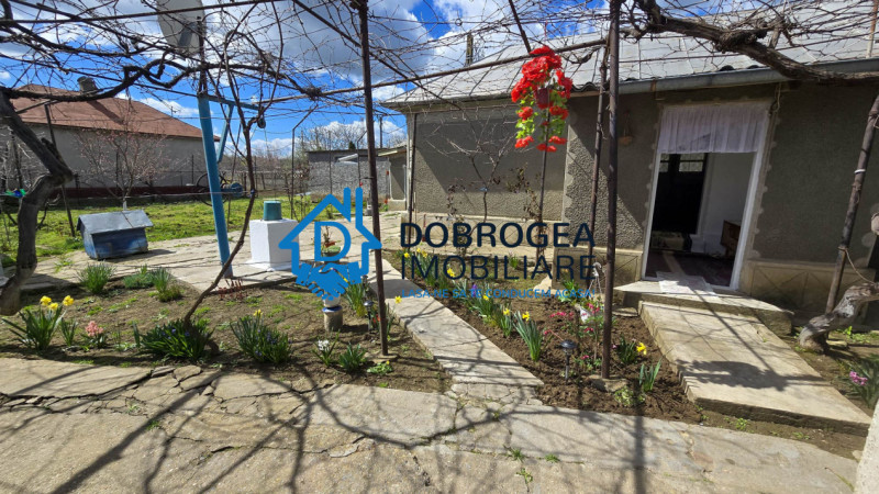 MIHAIL KOGALNICEANU-CASA BATRANEASCA ,TEREN 1975 MP