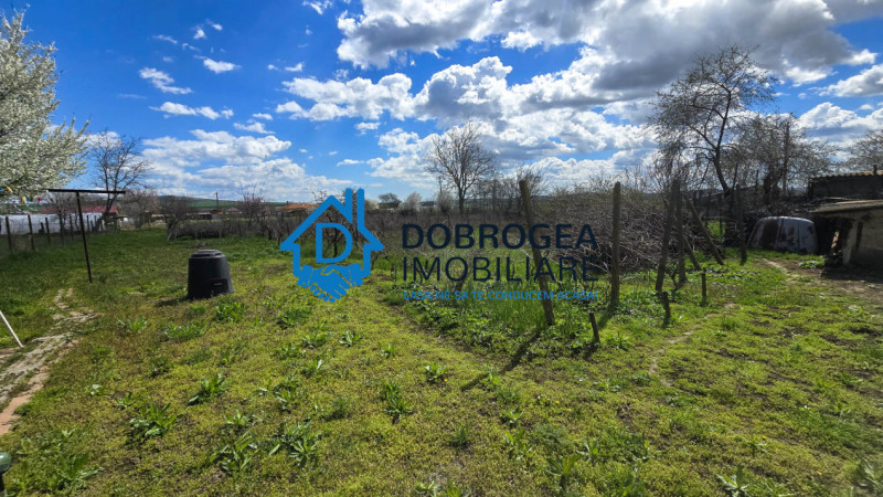 MIHAIL KOGALNICEANU-CASA BATRANEASCA ,TEREN 1975 MP