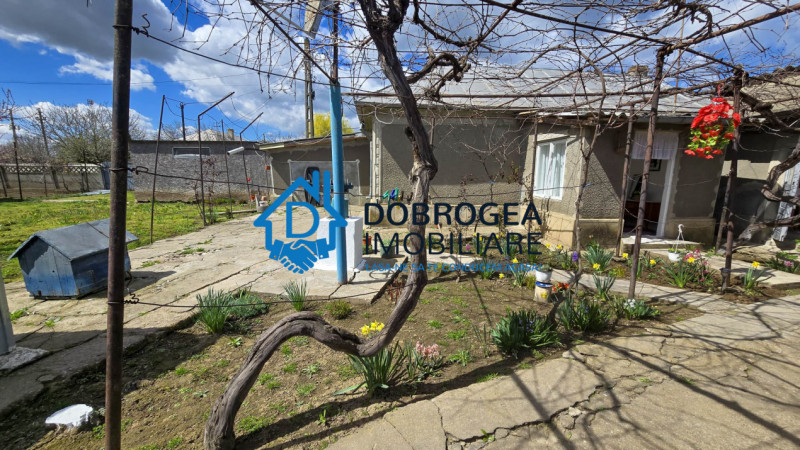 MIHAIL KOGALNICEANU-CASA BATRANEASCA ,TEREN 1975 MP