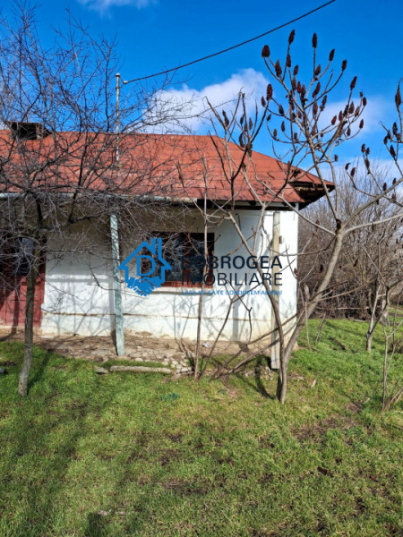 CASA BATRANEASCA  CEATALCHIOI- TEREN 2000 MP