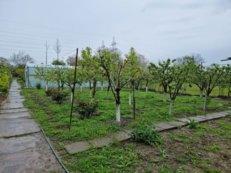 TEREN INTRAVILAN PREMIUM, ZONA 9 MAI, SUPRAFATA 1751 MP, IESIRE LA LAC