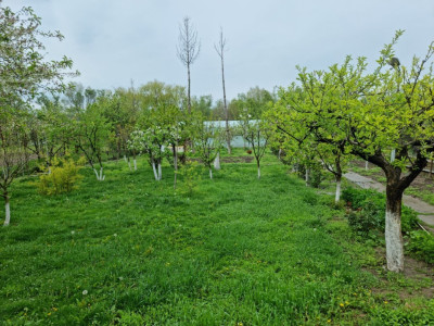TEREN INTRAVILAN PREMIUM, ZONA 9 MAI, SUPRAFATA 1751 MP, IESIRE LA LAC