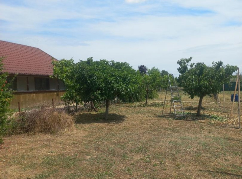 MIHAIL KOGALNICEANU-CASA LA SOL ,TEREN 2000 MP