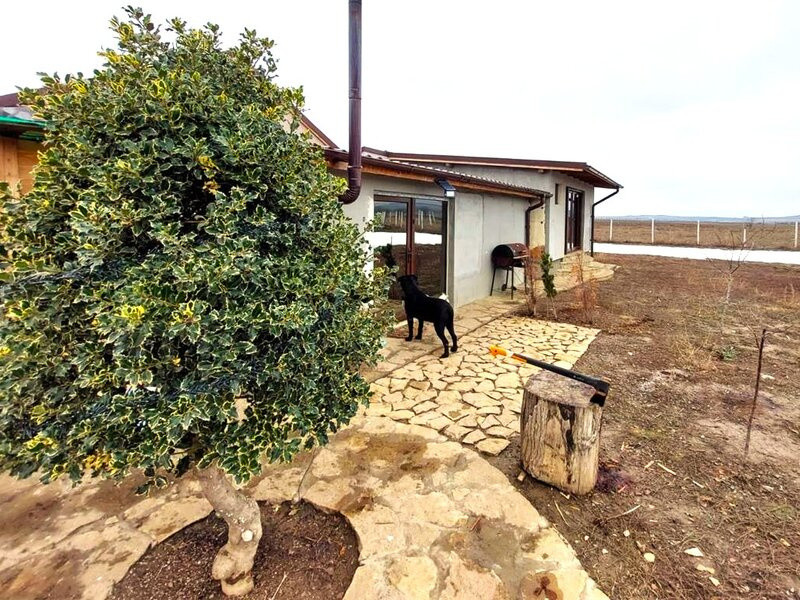 MIHAIL KOGALNICEANU-CASA LA SOL ,TEREN 2000 MP
