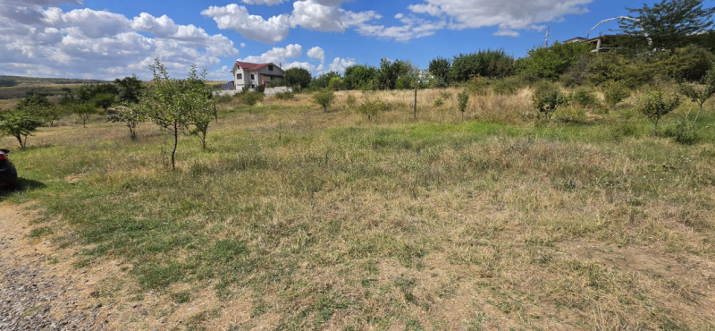 ZONA PECO- TEREN 450 MP, DESCHIDERE STRADALA 30 ML