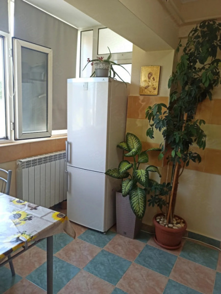 GARSONIERA  CF 1 ,SUPRAFATA 36MP .