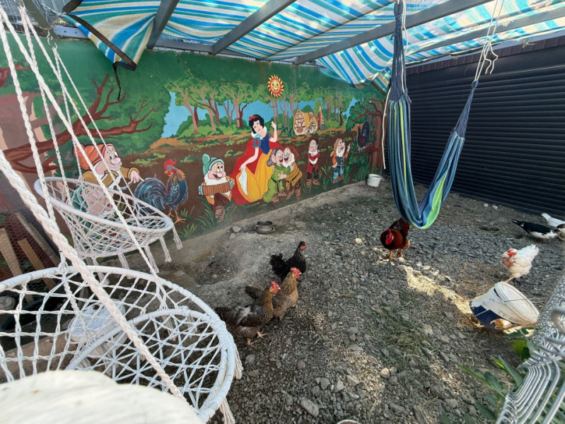 ZONA GLORIEI-CASA 2 CAMERE , RENOVATA 2025