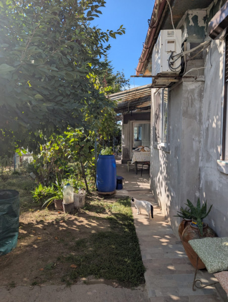 CASA DE VANZARE -COMUNA BESTEPE, TEREN 5165 MP