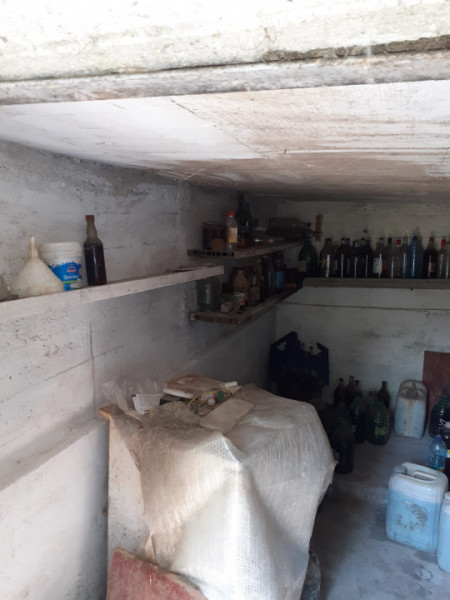 CASA DE VANZARE -COMUNA BESTEPE, TEREN 5165 MP