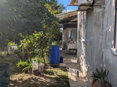 CASA DE VANZARE -COMUNA BESTEPE, TEREN 5165 MP