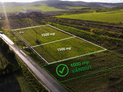 TEREN INTRAVILAN SOMOVA- 3000 MP